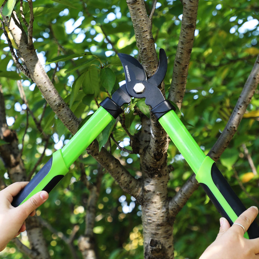 GARDENWORK comparación de tamaño 16" para referencia de escala