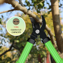 GARDENWORK podando un rosal para cortes limpios y precisos