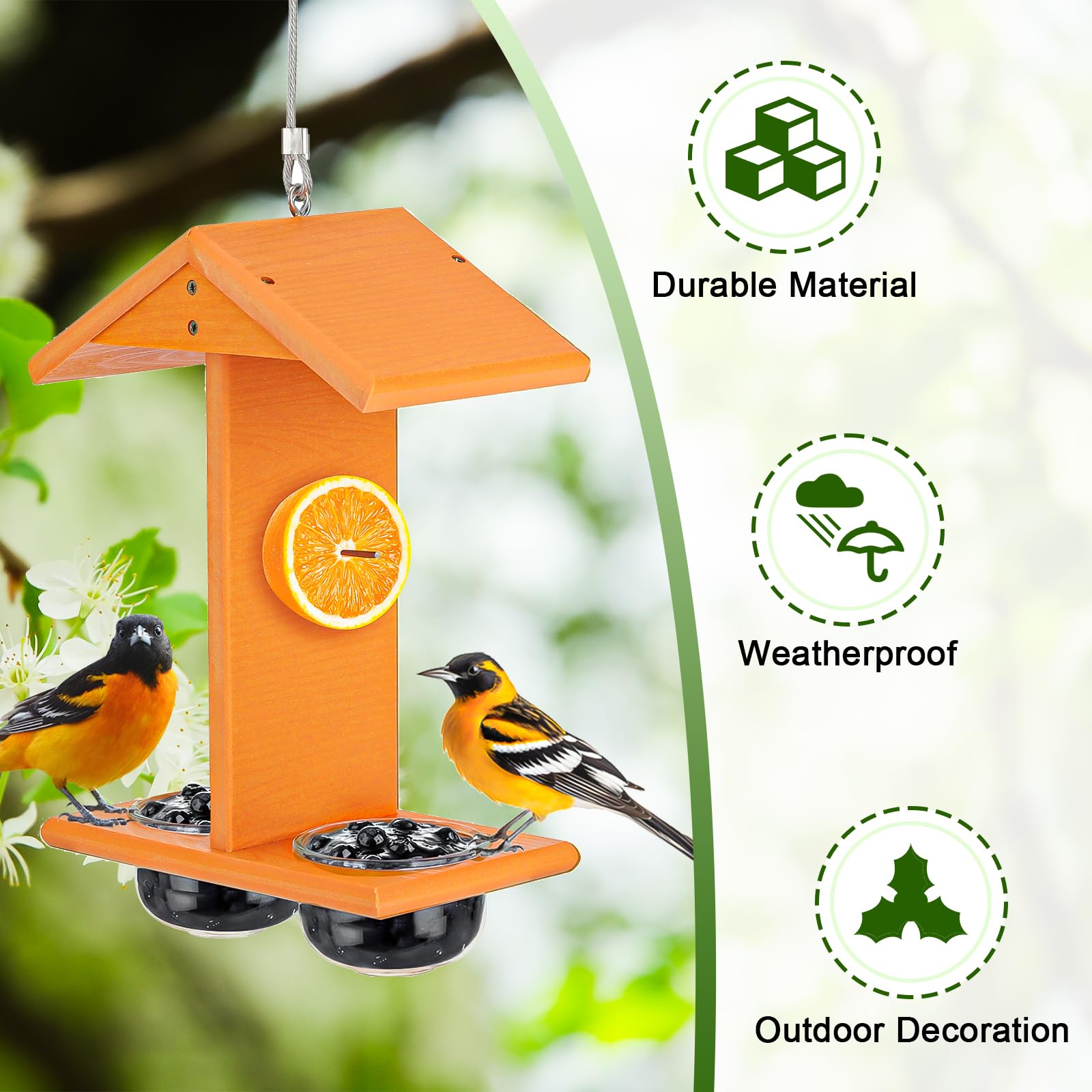 Gbekery comedero instalado en jardín con oriól posado, observación cómoda