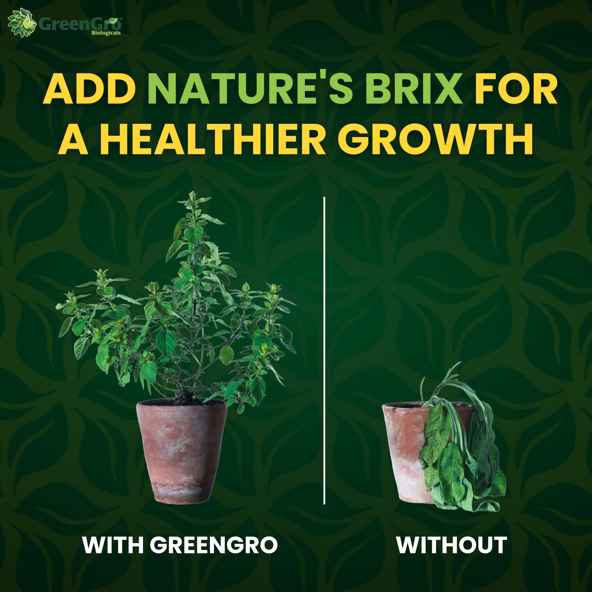 GreenGro bolsa de 2 lb junto a mano para comparar escala y entender volumen real del producto