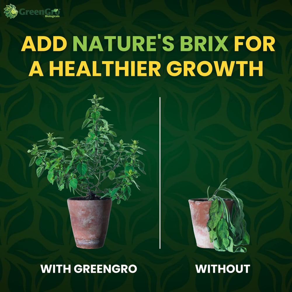 GreenGro bolsa de 2 lb junto a mano para comparar escala y entender volumen real del producto