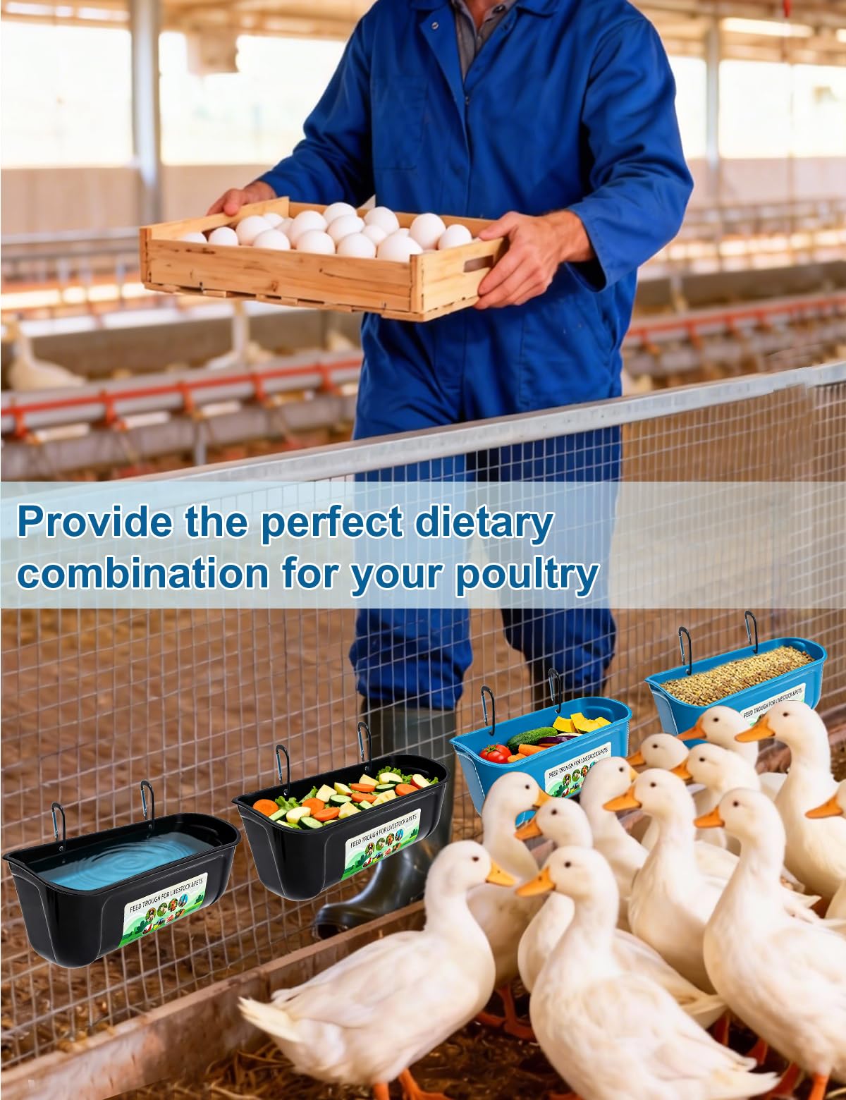 HAEZU comedero en gallinero con patos, reduce desperdicio y mantiene higiene