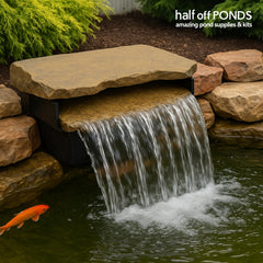 HALF OFF PONDS almohadilla filtrante en uso reteniendo sedimentos visibles