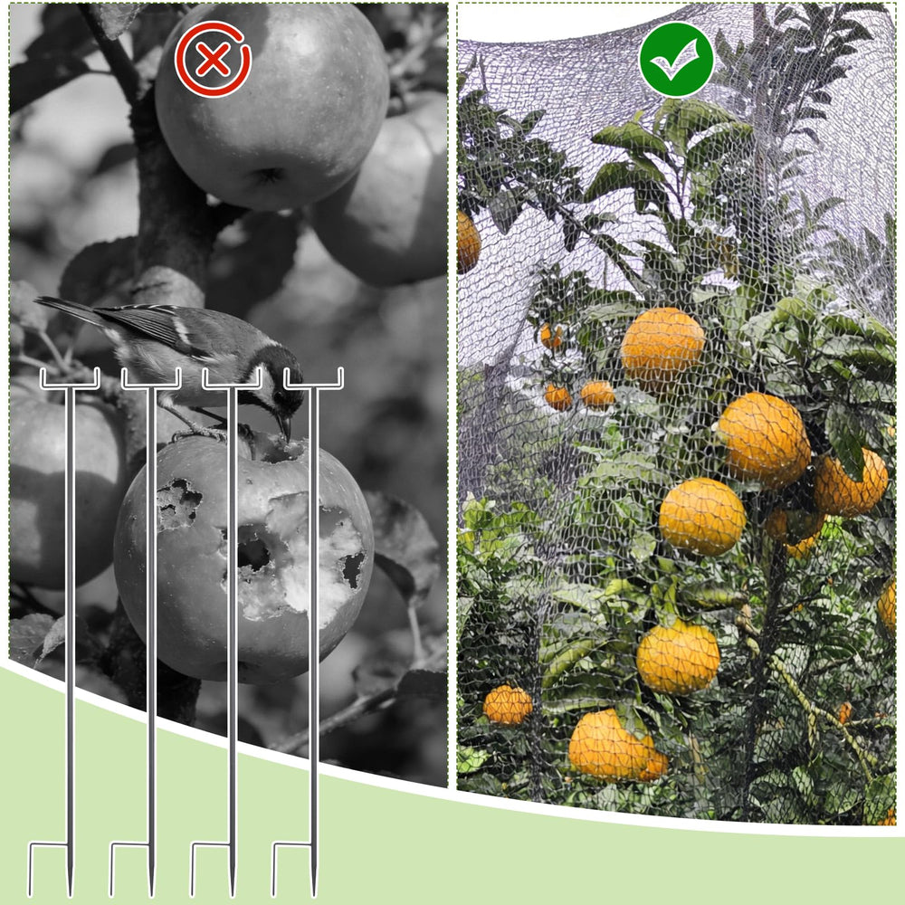 HFYZZ comparación de escala junto a manos para ver dimensiones, facilita planificación
