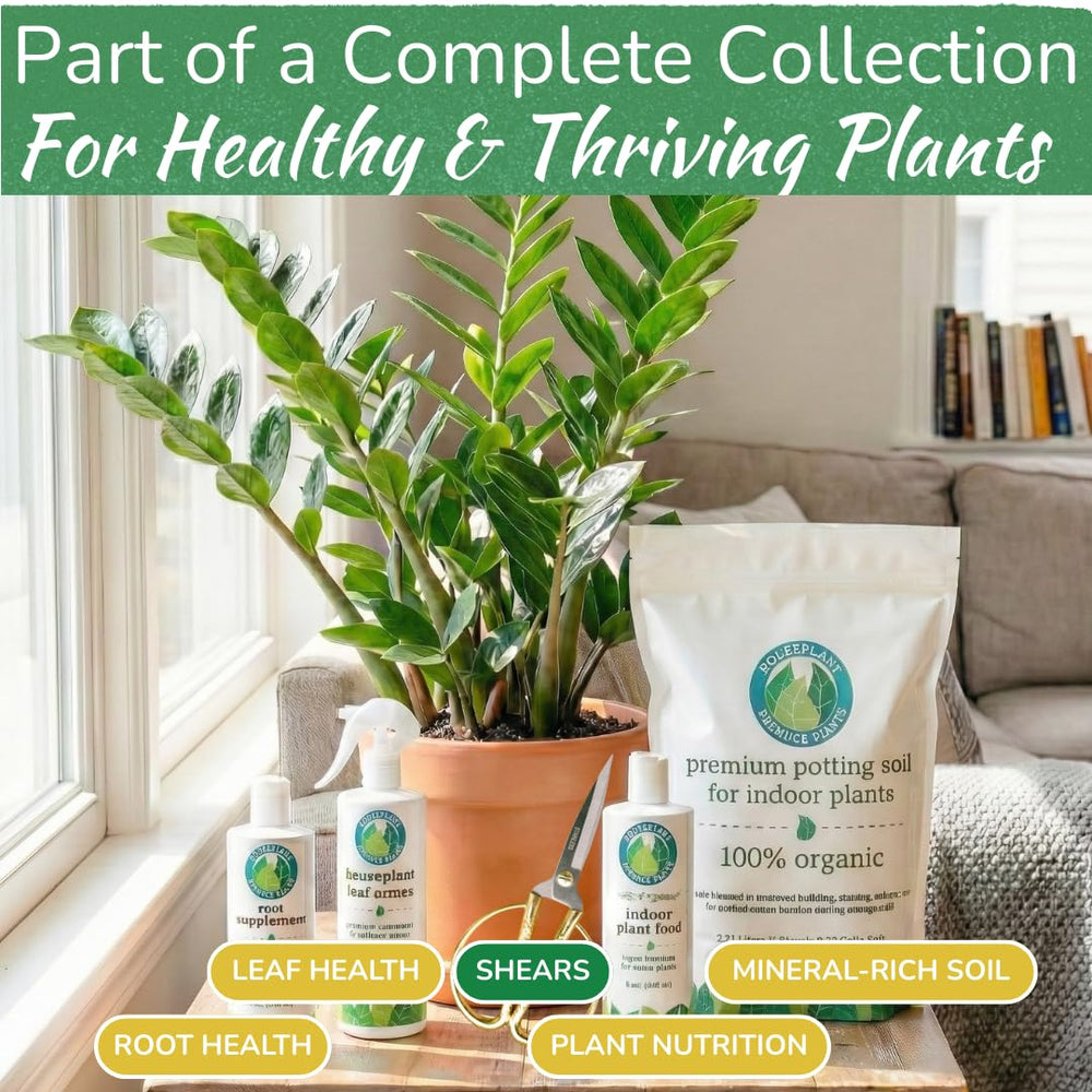 HOUSEPLANT RESOURCE CENTER tijeras en mano zurda y diestra, uso ambidiestro