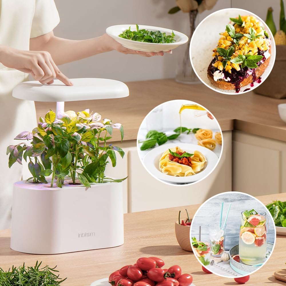 inbloom disposición de canastillas, domos y fertilizante A&B lista para iniciar cultivo