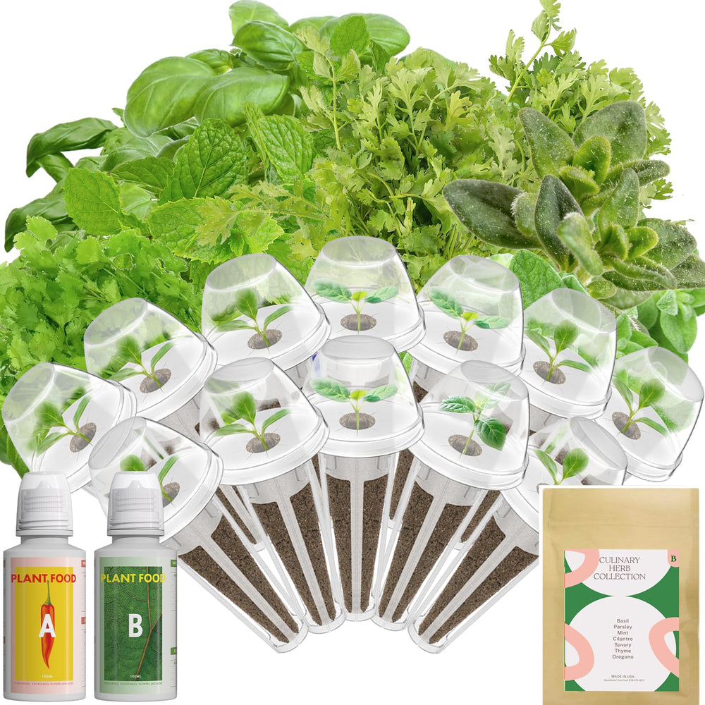 inbloom empaque frontal del kit mostrando variedades y accesorios, ideal para regalo