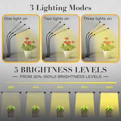 iPower closeup LEDs amarillos y blancos equilibrados para crecimiento