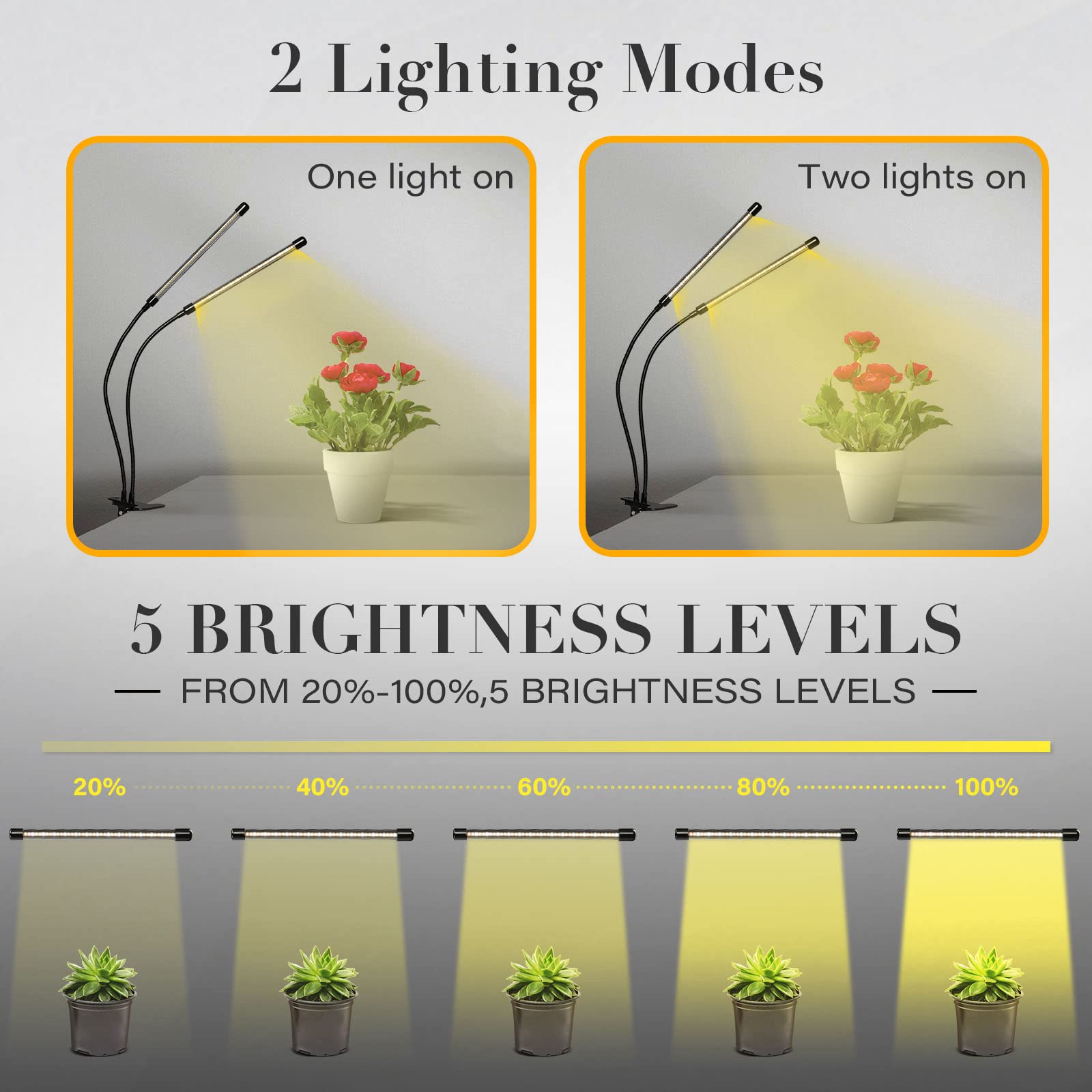 iPower luz aplicada sobre suculentas, mejora visual para cultivo interior