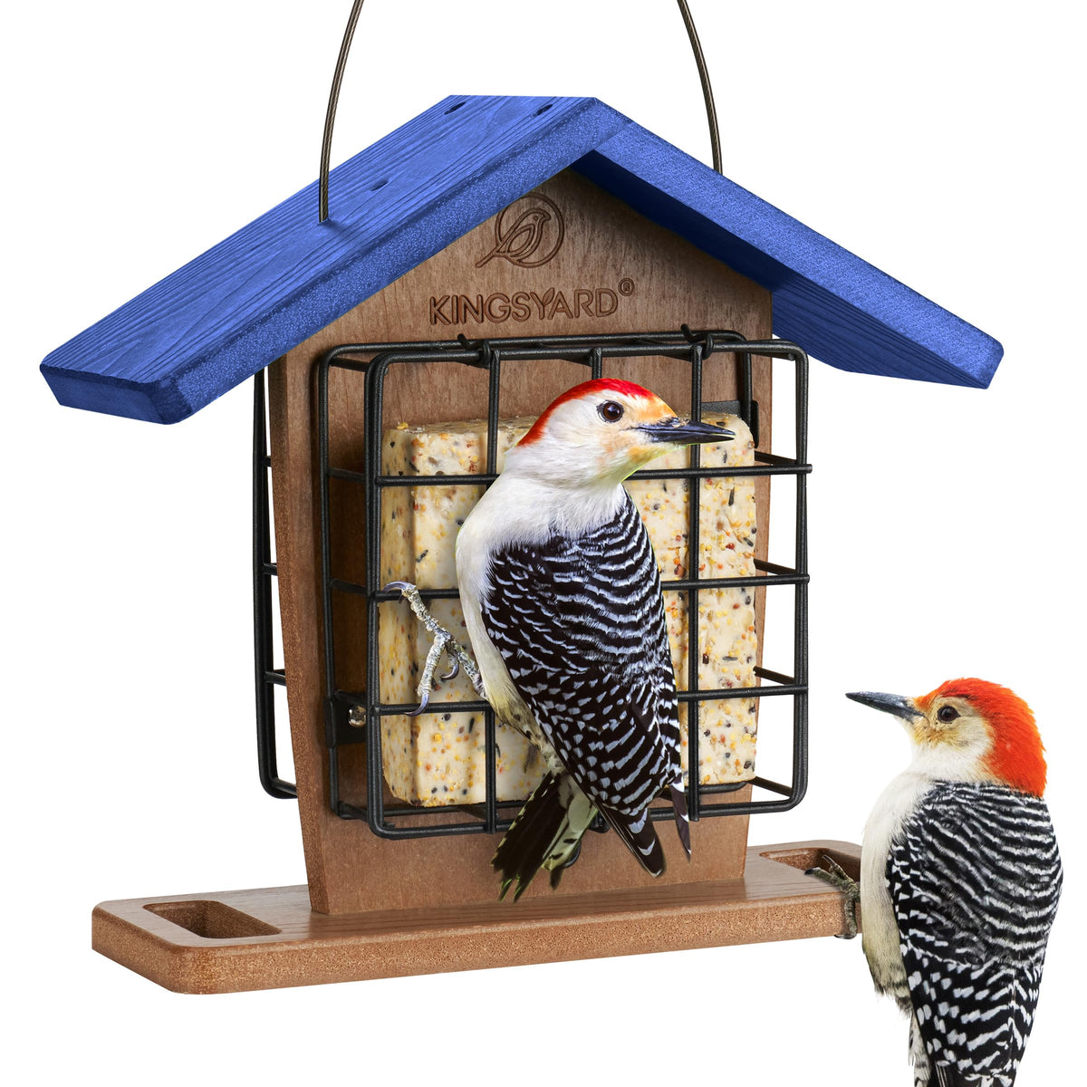 Kingsyard comedero doble frente mostrando diseño y capacidad frontal para aves