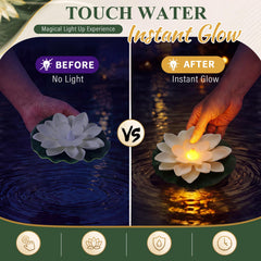 Liliful luz de loto encendida flotando en agua, crea ambiente nocturno