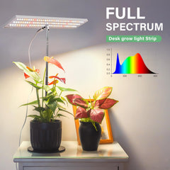 LORDEM primer plano de LEDs mostrando combinación de blanco frío, cálido y rojo para crecimiento
