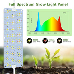 LPMZMBL primer plano de LEDs que muestra distribución y espectro