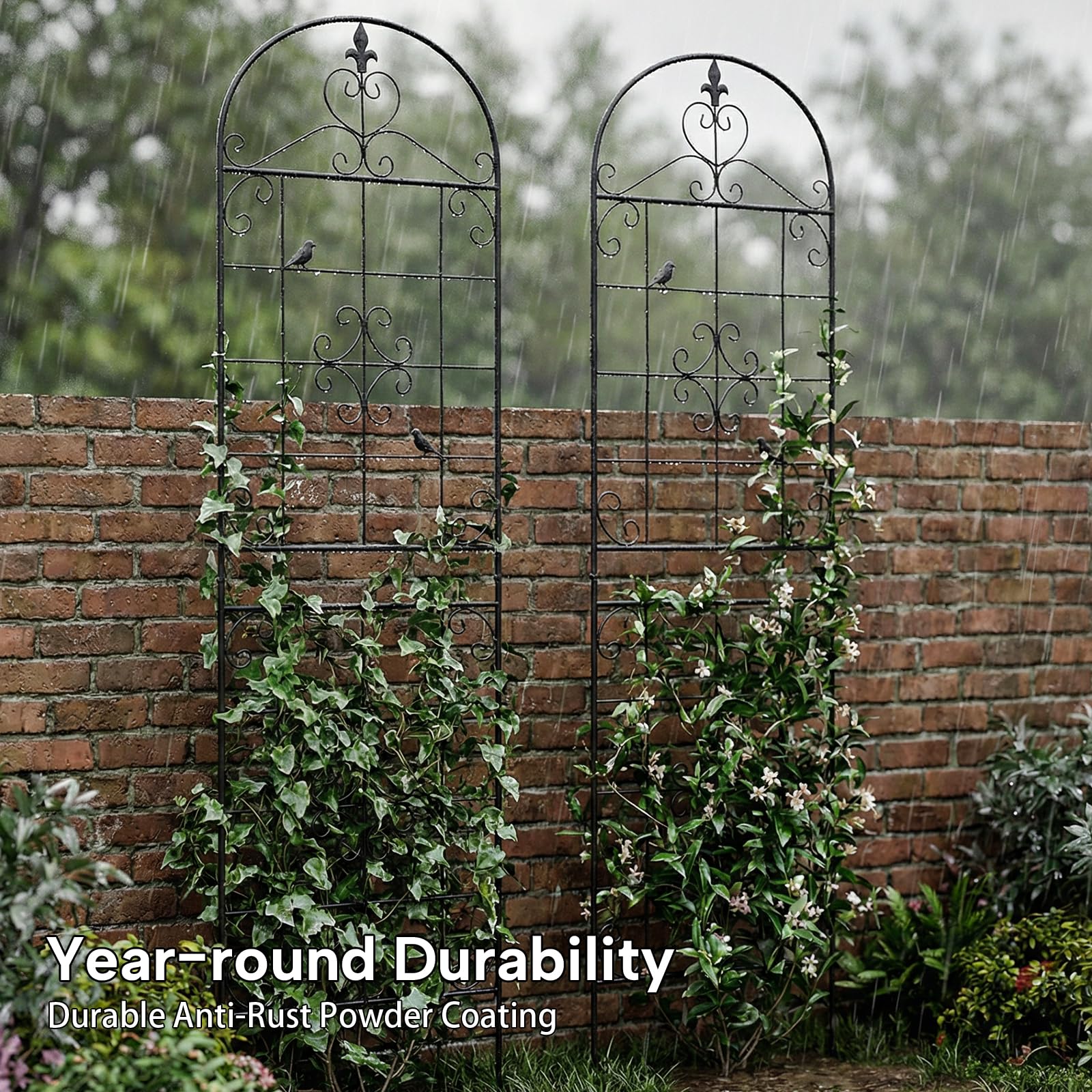 Maidapulu jardín instalado crea pantalla verde y optimiza espacio