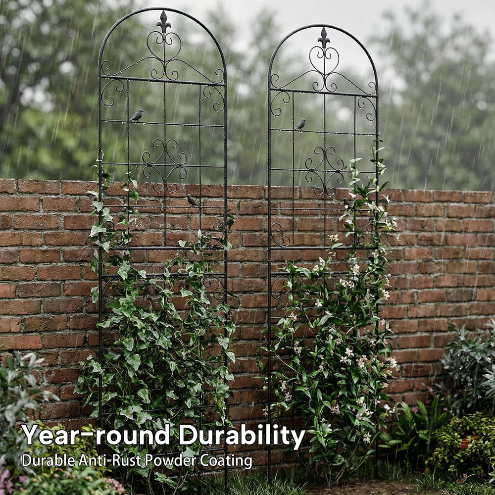 Maidapulu jardín instalado crea pantalla verde y optimiza espacio