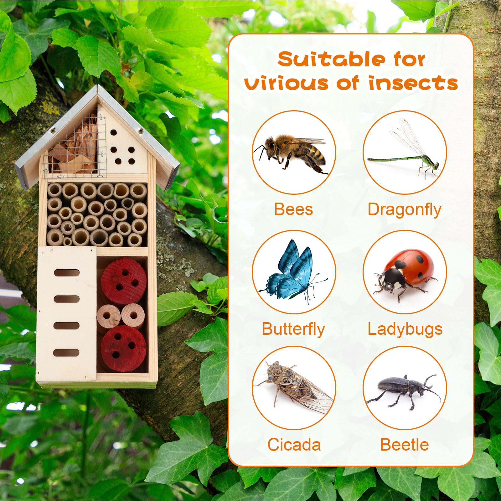 Maitys interior con bambú y virutas que ofrece refugio para abejas y mariquitas
