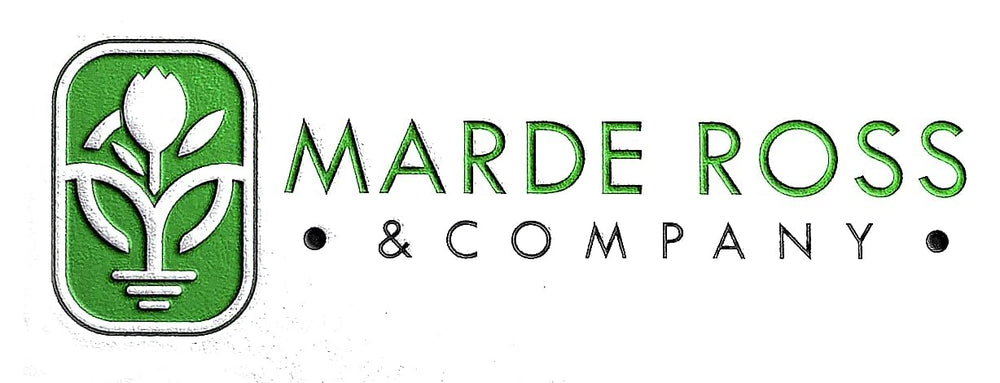 Marde Ross Hosta August Moon en ambiente de jardín mostrando facilidad de mantenimiento