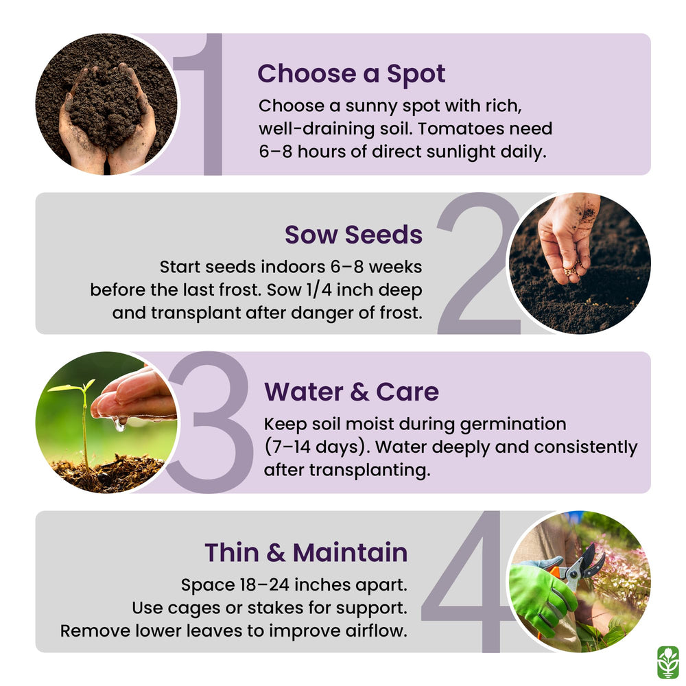 Marde Ross & Company etiqueta del paquete con instrucciones claras y garantía de germinación