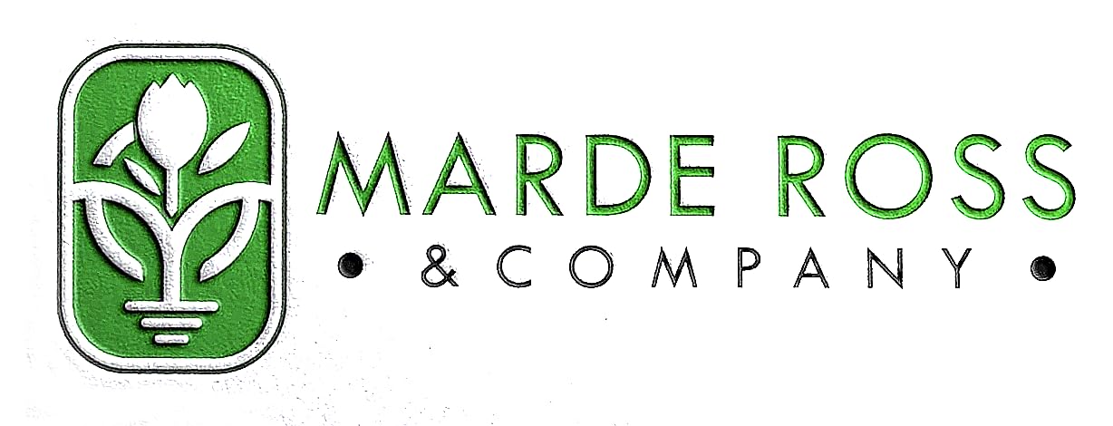Marde Ross & Company primer plano de hojas Seven Top mostrando textura tierna y uso culinario