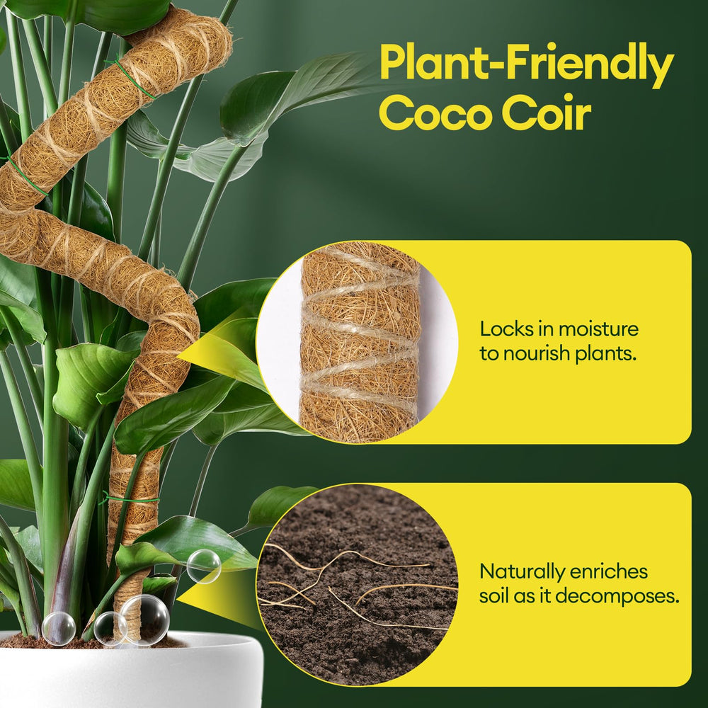 Maygrove polo de musgo sosteniendo una Monstera, soporte seguro