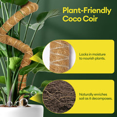Maygrove polo de musgo sosteniendo una Monstera, soporte seguro