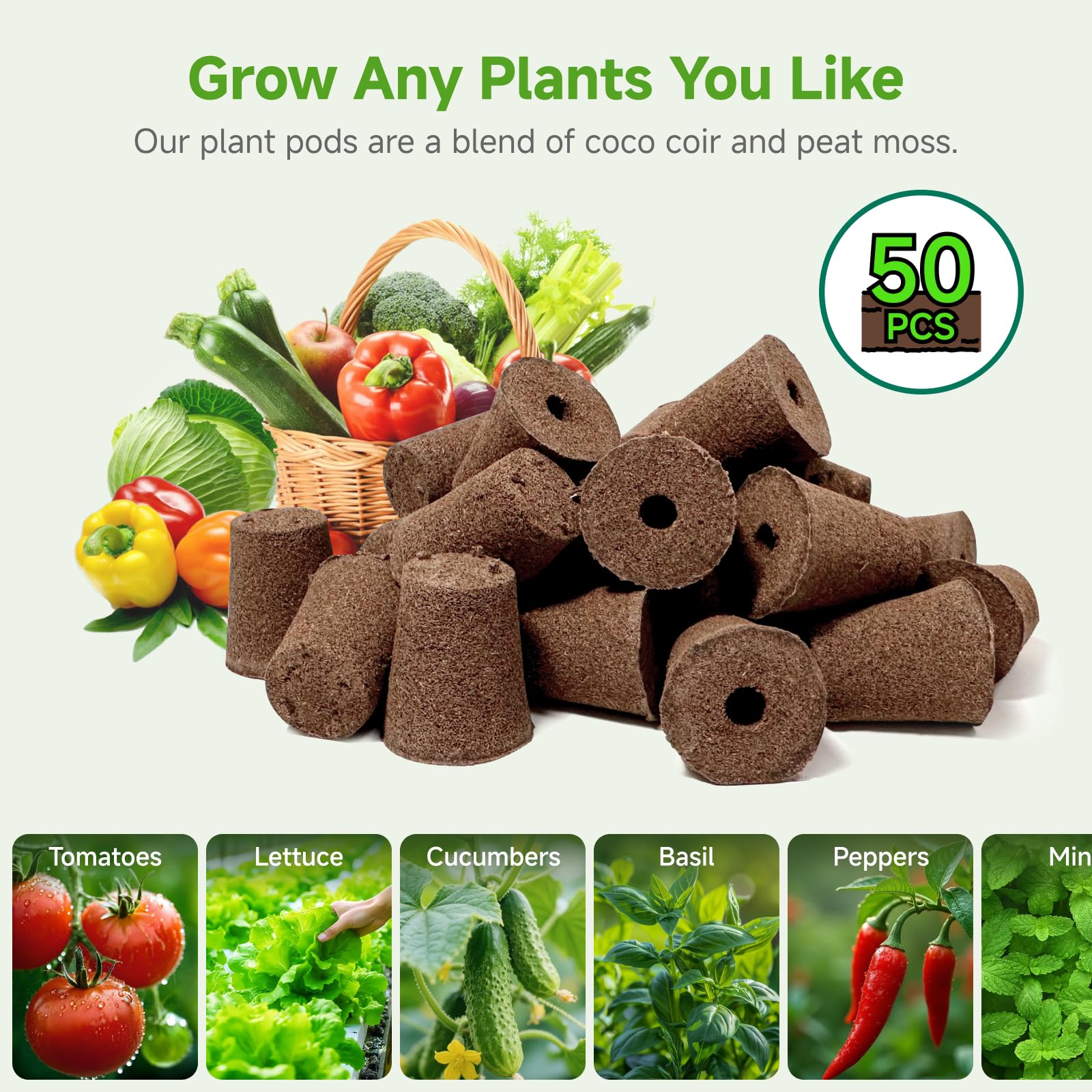 MEYCEMT uso en bandeja de semilleros optimizando espacio y germinación