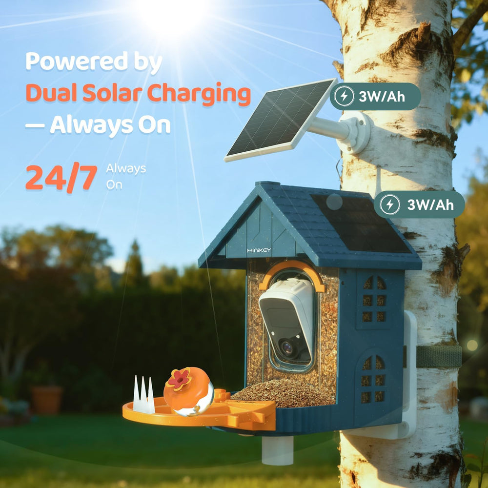 Minikey lente 3K en primer plano para imágenes nítidas de aves