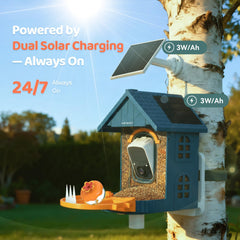 Minikey lente 3K en primer plano para imágenes nítidas de aves