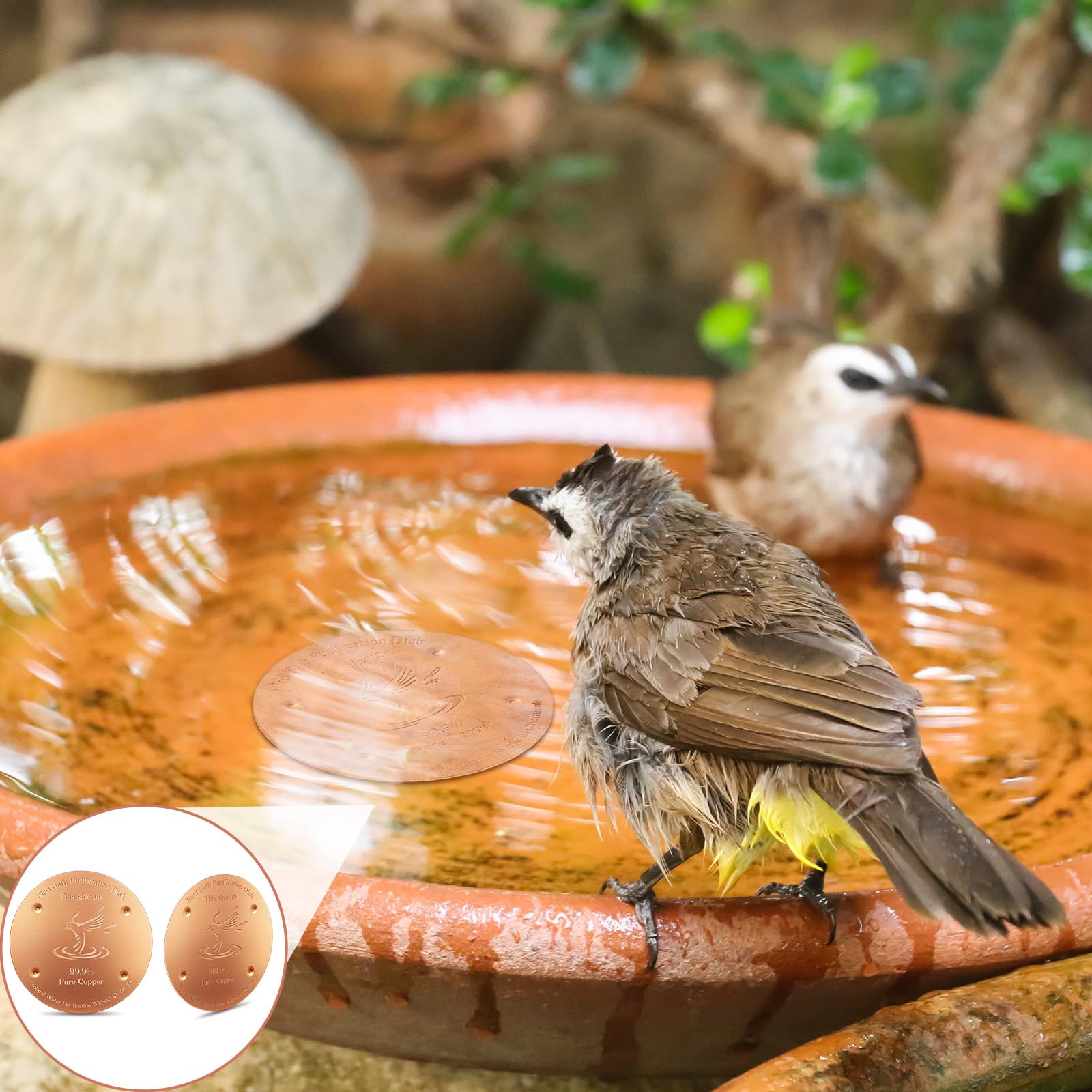 MorningRo detalle de los cuatro apoyos, estabilidad y mejor contacto con el agua