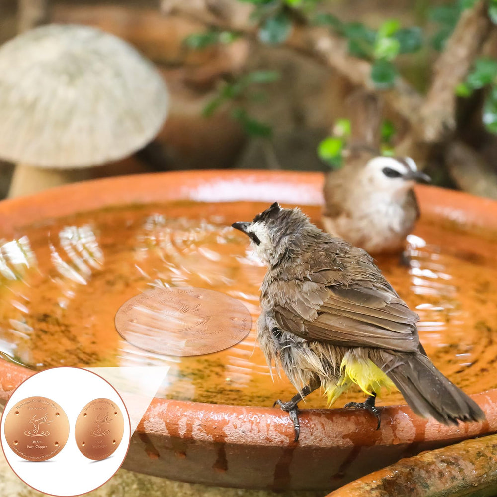 MorningRo detalle de los cuatro apoyos, estabilidad y mejor contacto con el agua