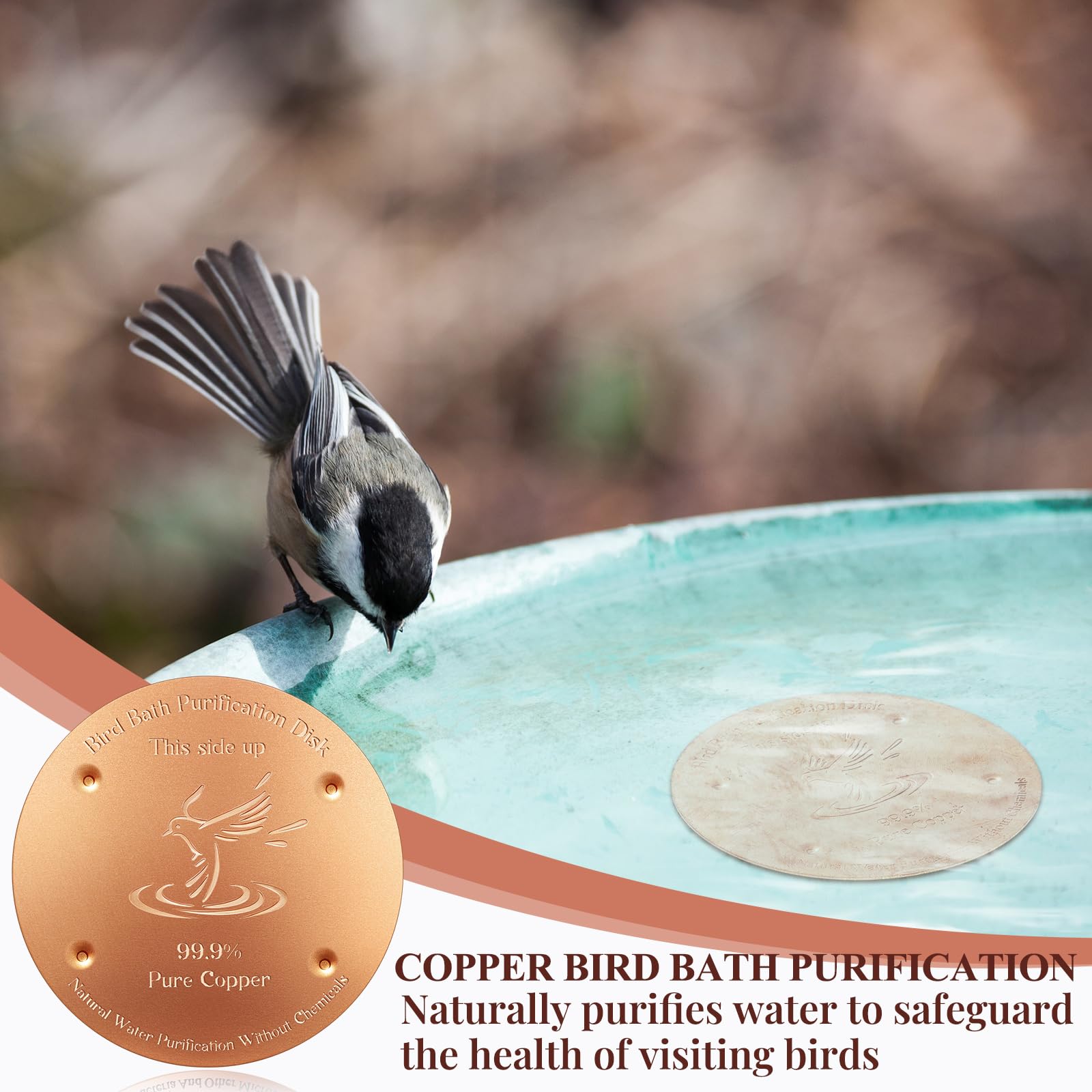 MorningRo disco en jardín con aves, integración estética y función práctica