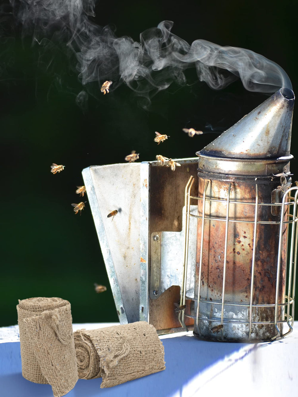 Moukeren apicultor en campo usando el ahumador con combate de abejas calmadas