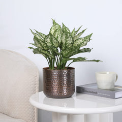 MyGift detalle martillado textura resistente y decorativa