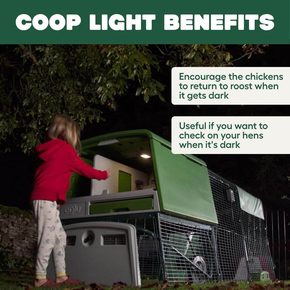Omlet Coop Light junto a una regla como comparativa de tamaño práctico