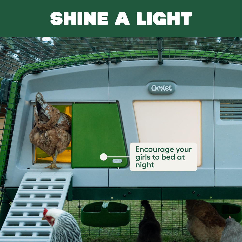 Omlet Coop Light detalle de superficie que facilita limpieza rápida