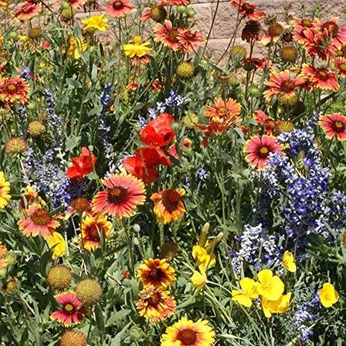 Outsidepride etiqueta con instrucciones y beneficios para plantación en zonas áridas