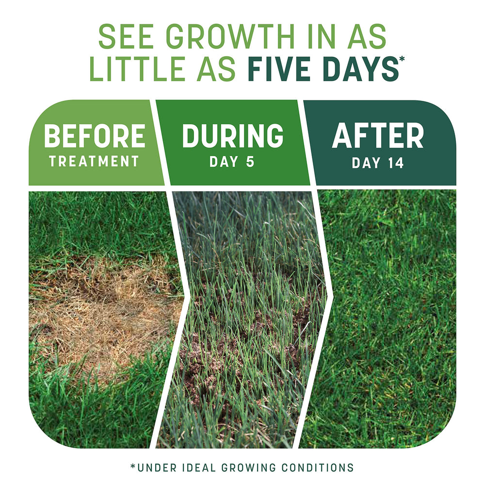 Pennington semillas de tall fescue y ryegrass que germinan rápido