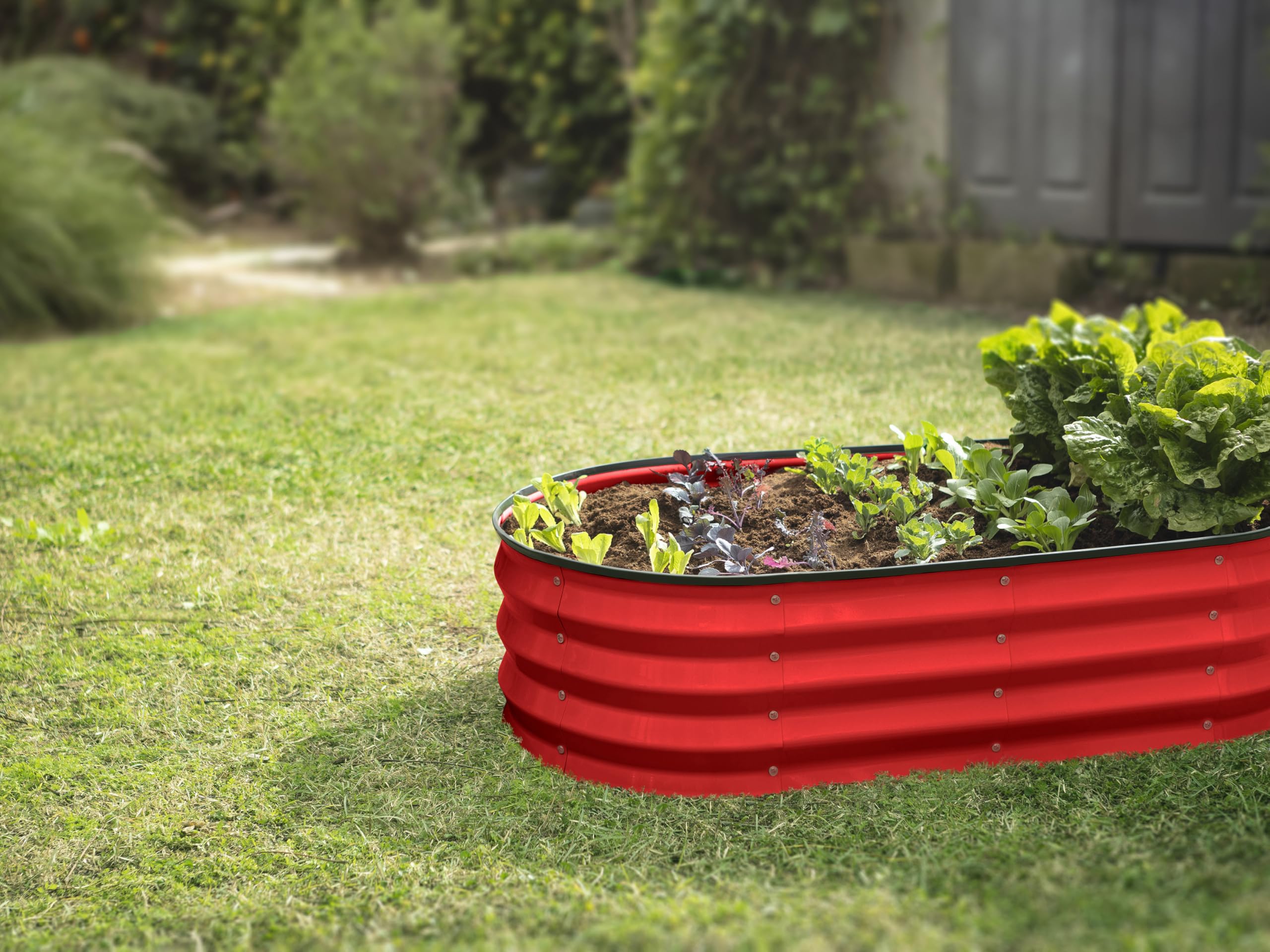 Plant & Plot detalle del acabado rojo resistente y atractivo