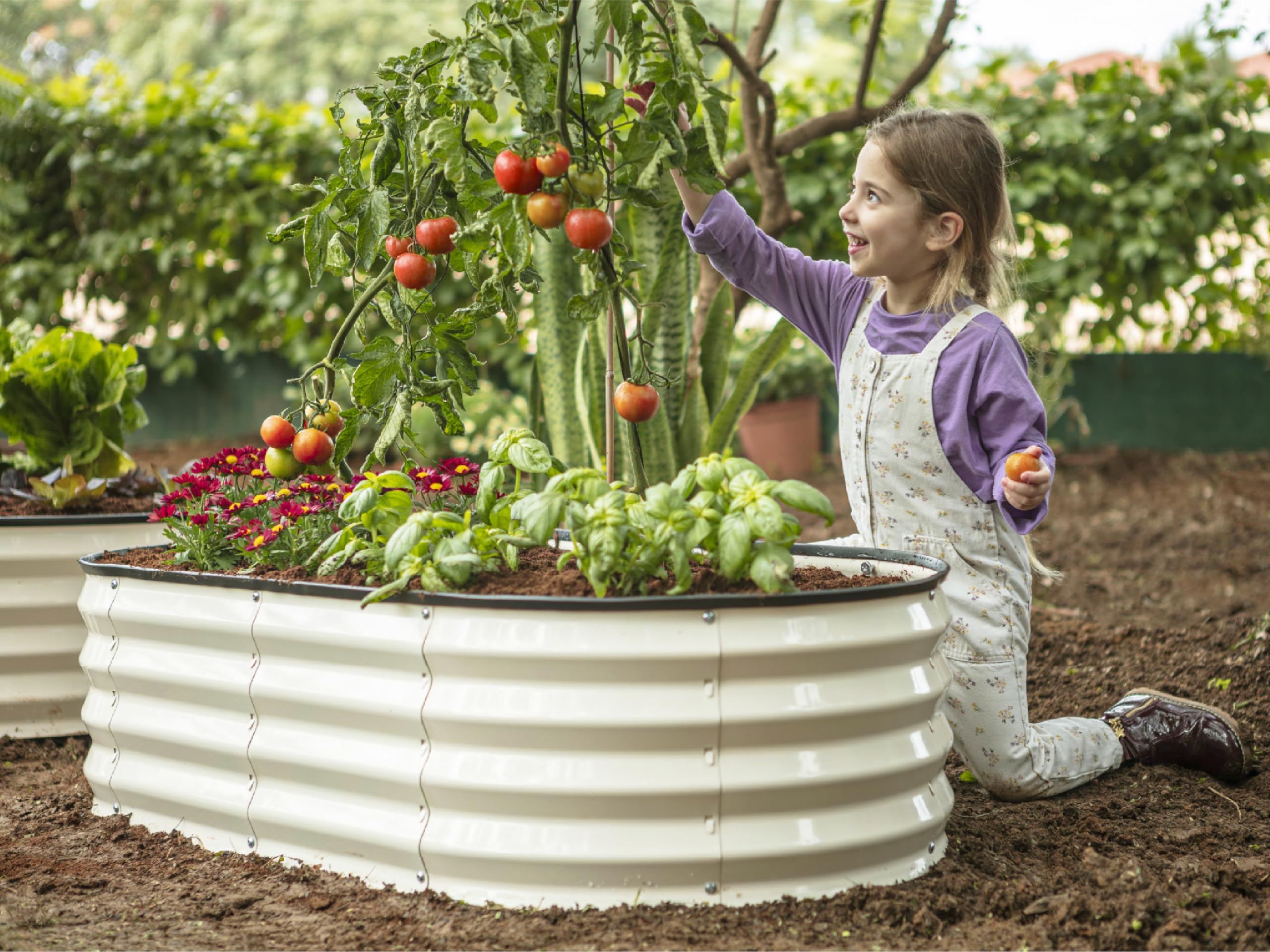 Plant & Plot cama con hortalizas estableciendo cultivo eficiente y accesible