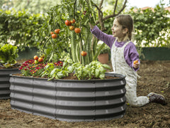 Plant & Plot jardinera llena de sustrato y verduras para cosecha eficiente