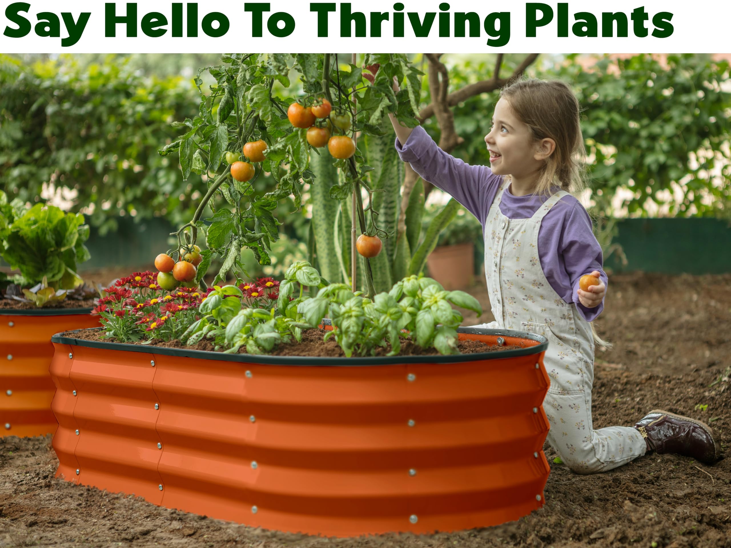 Plant & Plot cama montada con verduras facilitando accesibilidad al cultivo
