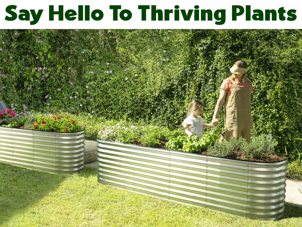 Plant & Plot comparación de tamaño con una persona para visualizar escala y capacidad