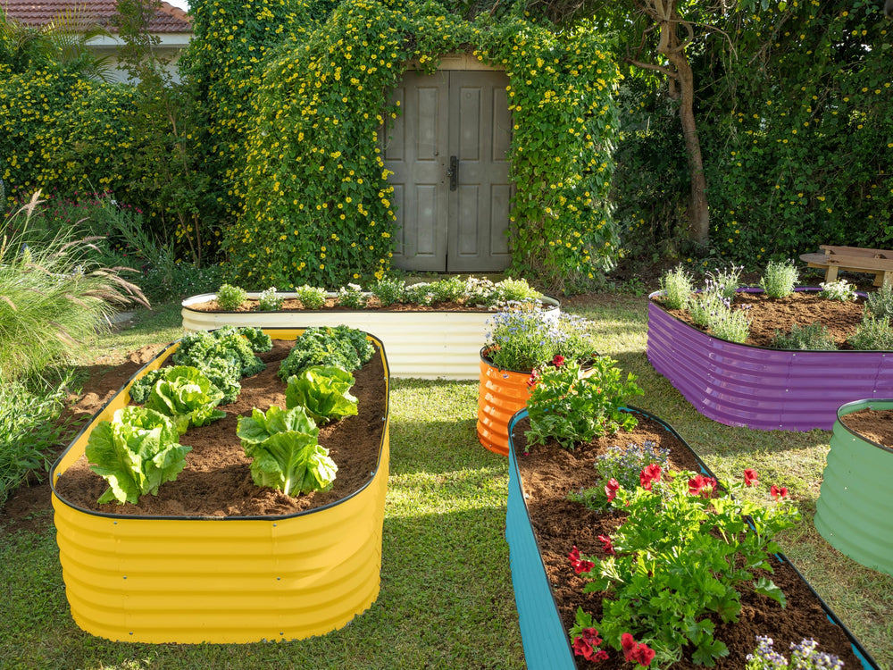 Plant & Plot cama en uso con verduras creciendo y riego eficiente