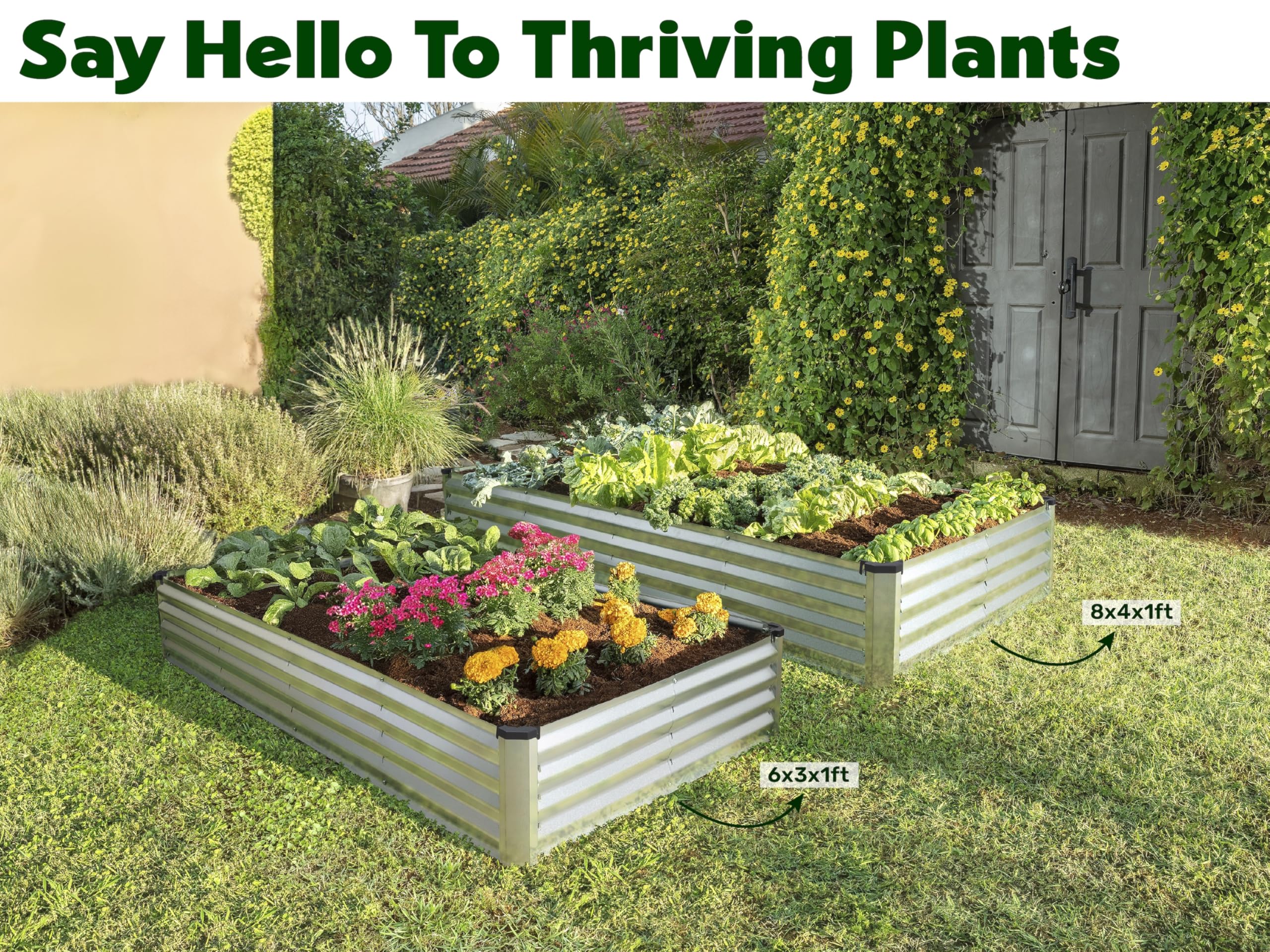 Plant & Plot comparativa con persona para escala, tamaño claro y práctico