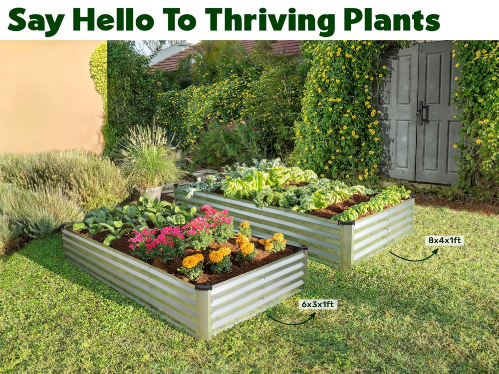 Plant & Plot comparativa con persona para escala, tamaño claro y práctico