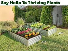 Plant & Plot comparativa con persona para escala, tamaño claro y práctico