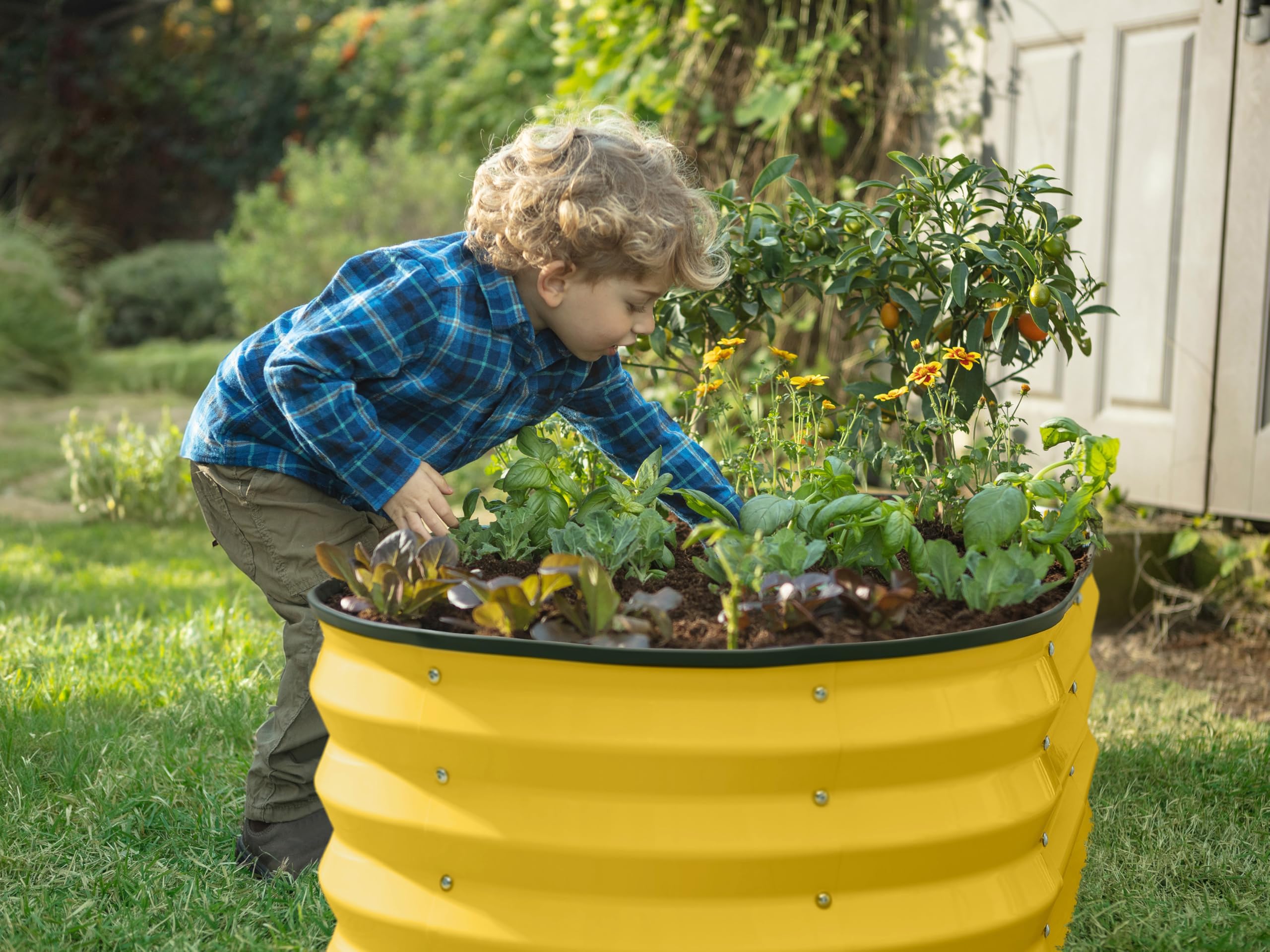 Plant & Plot comparación de tamaño con manos para referencia de escala