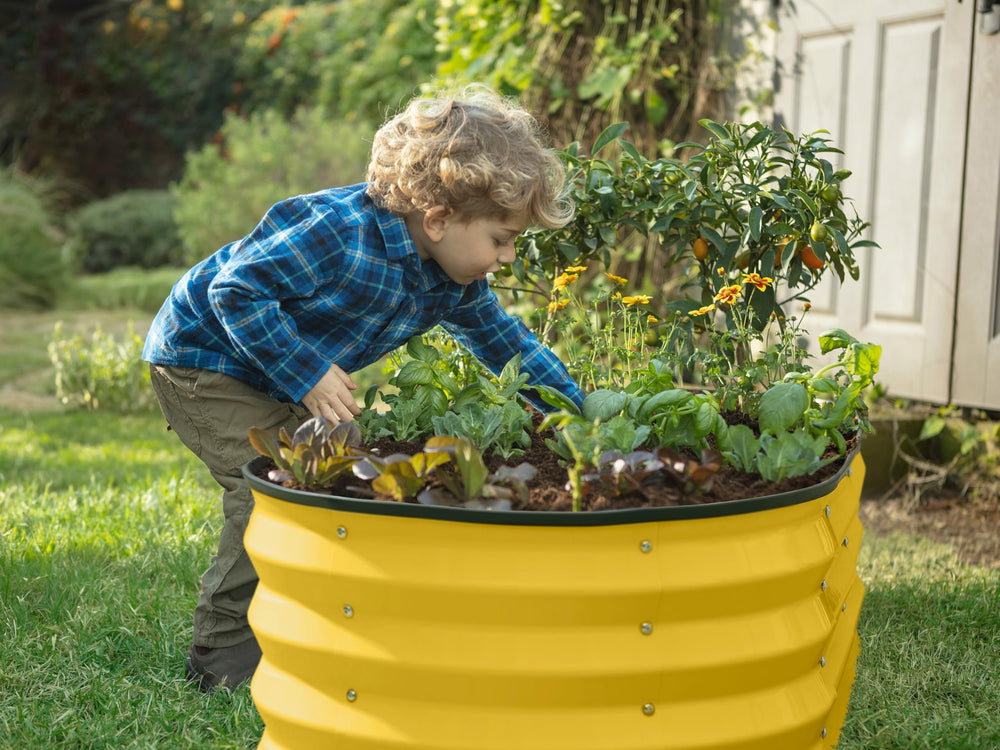 Plant & Plot comparación de tamaño con manos para referencia de escala