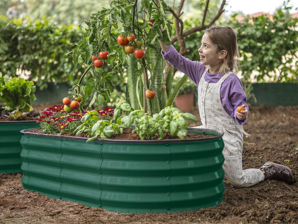 Plant & Plot cama instalada con verduras y flores demostrando uso práctico y atractivo