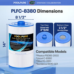 POOLPURE corte transversal destacando 85 ft² de área de filtración efectiva